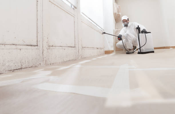 24/7 Emergency Mold Remediation experts in Darien, GA